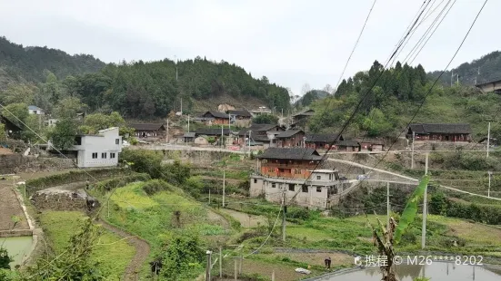 六個雞村