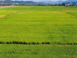 稻田公園