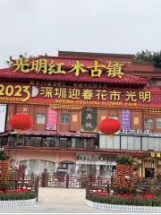 Guangming Redwood Cultural Town
