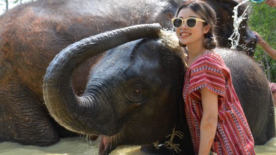 プーケット・ナイディ・エレファント・キャンプ半日ツアー:親子のふれあい、餌やりと入浴、複数回の時間帯(オプション)の楽しい体験