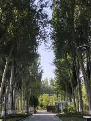 Houtan Park