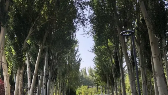 後灘濕地公園
