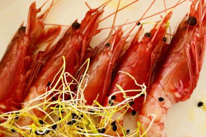 L'Angolo delle Meduse