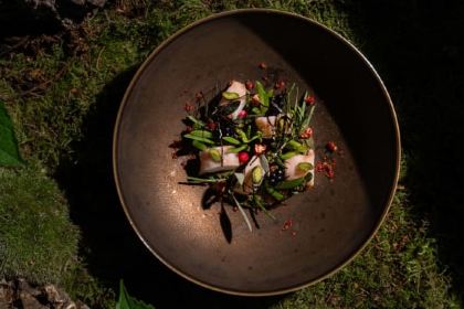 ALAIN DUCASSE AT THE DORCHESTER