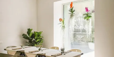 Officina Verde Cucina Vegetale