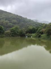 金門海水釣魚場