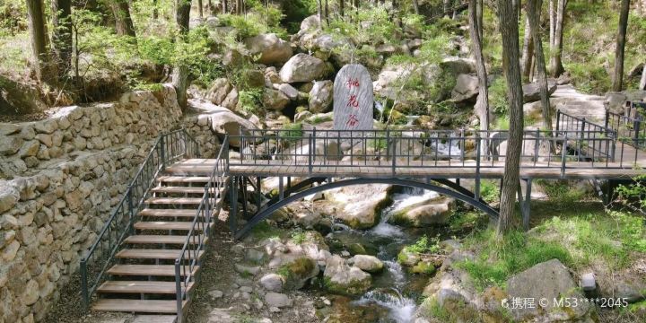 桃花溶洞景區