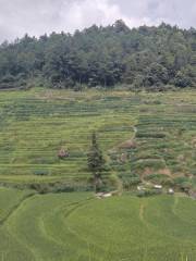 Jinlong Terraces