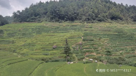 Jinlong Terraces