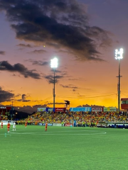 Estadio Eladio Rosabal Cordero