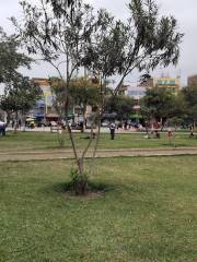 Plaza Cívica de Pro