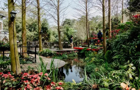 苗栗卓也小屋門票(含園內消費抵扣券)成人