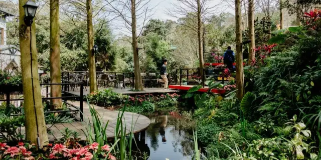 アメリカ製 Village 壁紙 緑色 薔薇 6本（ソルバング個人旅行ガイド 
