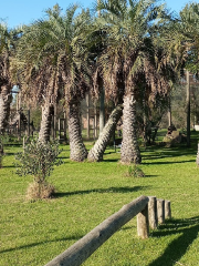 Parque Rivera