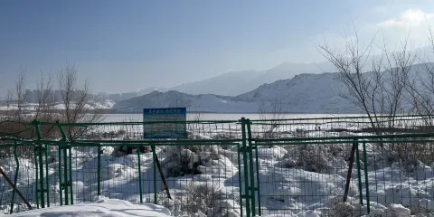 白鳥湖濕地