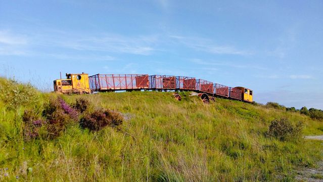 Lough Boora Discovery Park