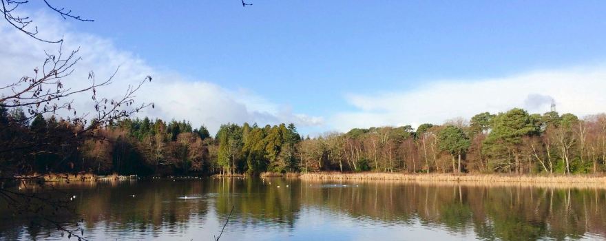 Stover Country Park