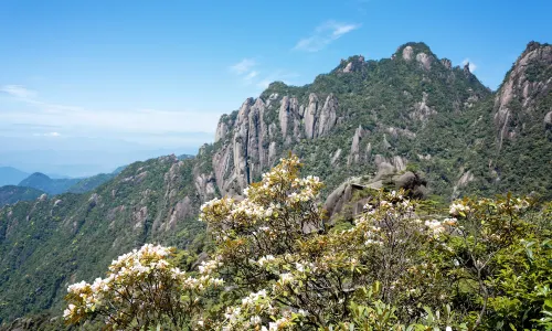 Sanqingshan Mount Scenic Area