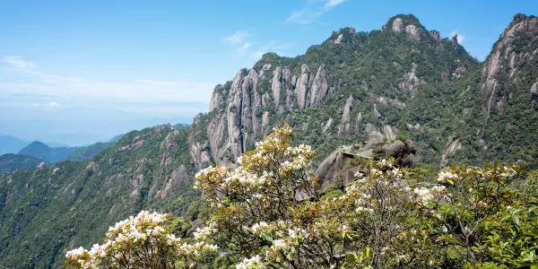 Lugares de Floración Primaveral populares en Condado de Yushan