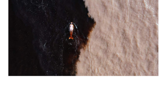 Emilija Škarnulytė