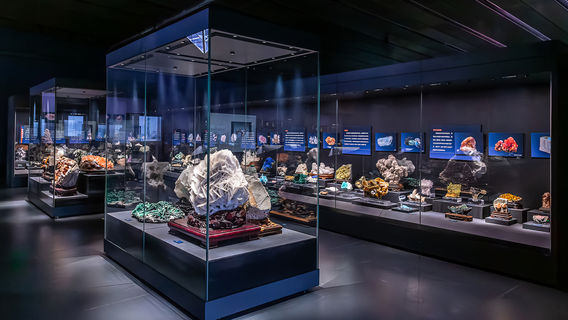 Paleozoological Museum of China (Baoding Natural History Museum)