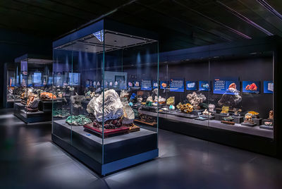 Paleozoological Museum of China (Baoding Natural History Museum)