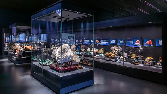 Paleozoological Museum of China (Baoding Natural History Museum)