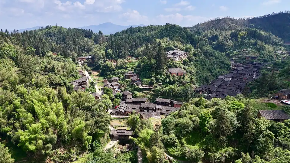 5_Dingwuling