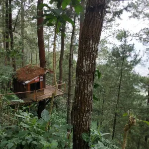 Omah Kayu Gunung Banyak