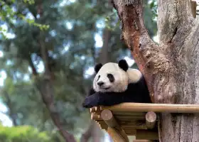 馬德裏動物園·水族館