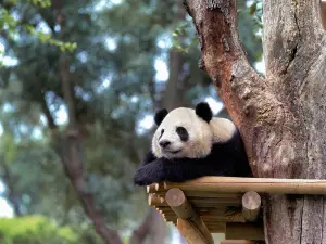 Zoo Aquarium de Madrid