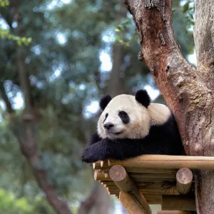 Zoo Aquarium de Madrid