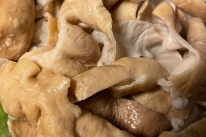 CHUAN JIANG YU FU HUO GUO ZONG DIAN