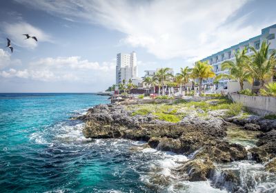 Cozumel Island