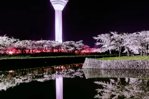 Goryōkaku Tower