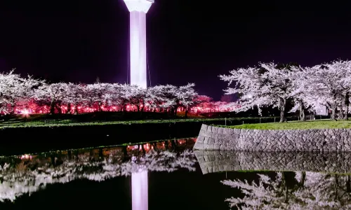Goryōkaku Tower