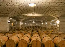 紫軒葡萄酒莊園