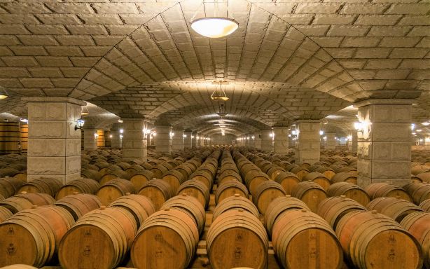 Zi Xuan Wine Estate