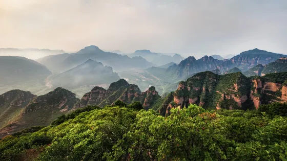 楊岐山