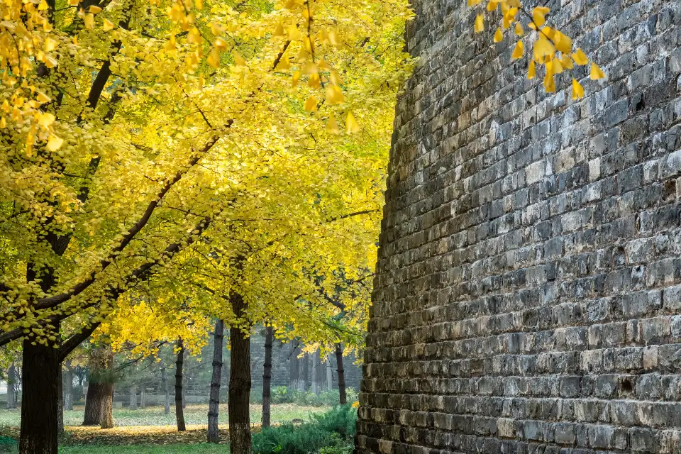 2_Site of Ming City Wall Park