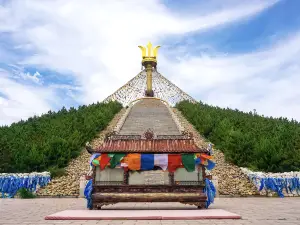 캉바스 신구 이커오보