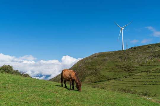 Shede Grassland