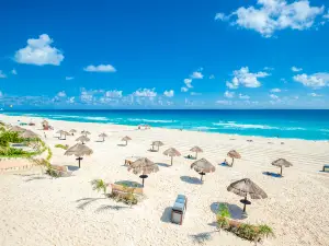 Dolphins Beach