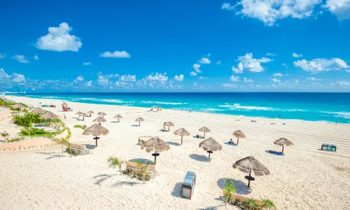 Dolphins Beach