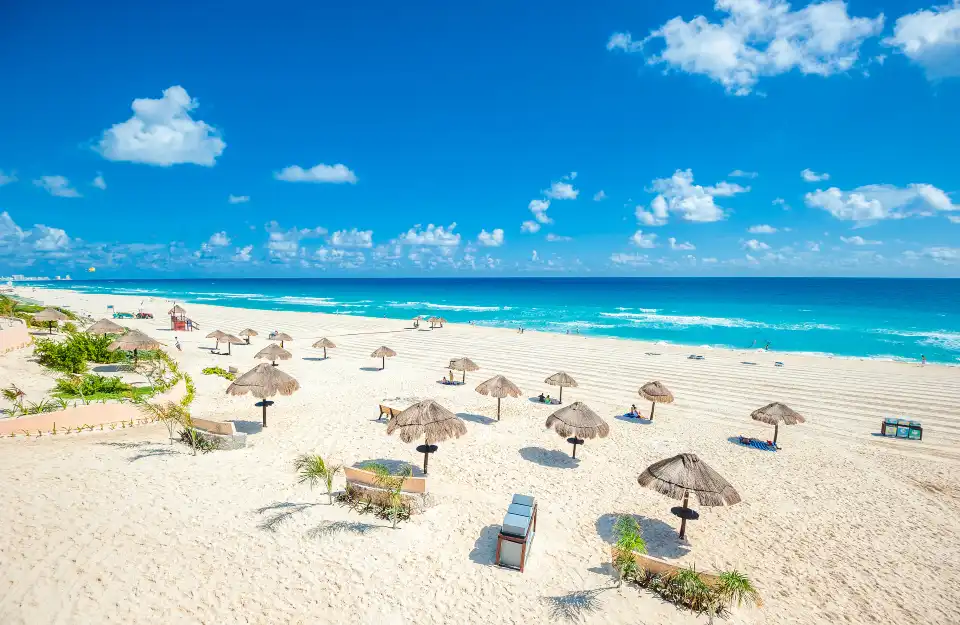 1_Dolphins Beach