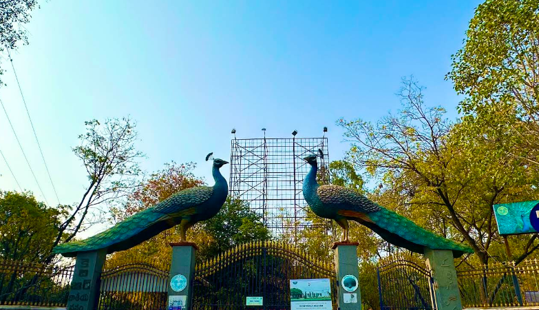 Kasu Brahmanandha Reddy National Park (KBR)