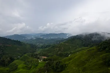 金馬侖高原