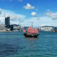 又高又大的玫瑰花種在尖東海旁K11門囗