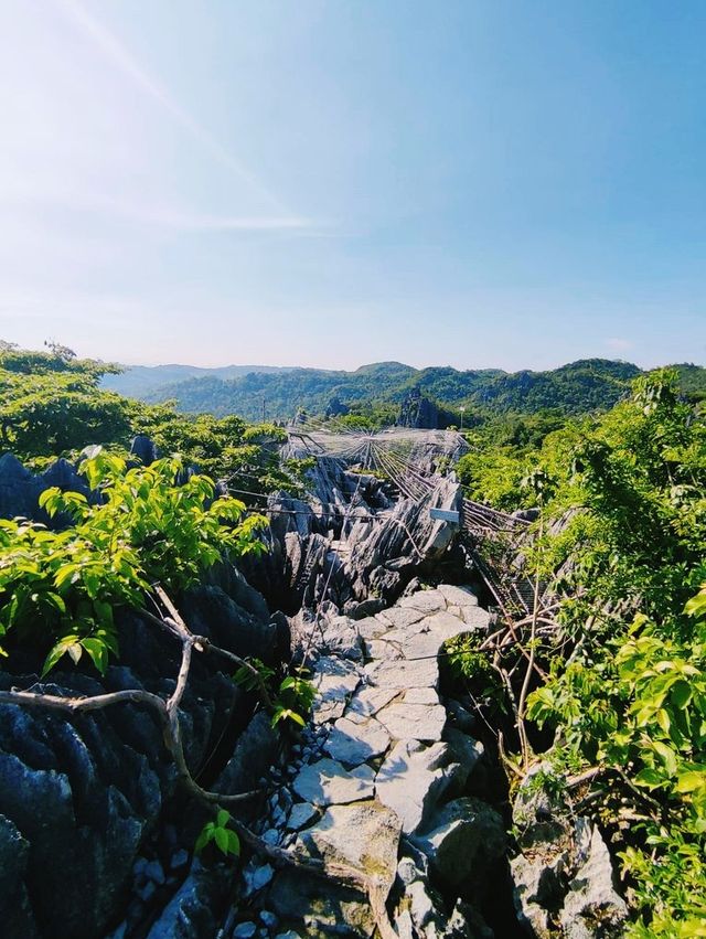 Rainforest hiking adventure