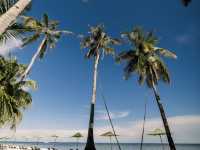 The best resort in Bohol